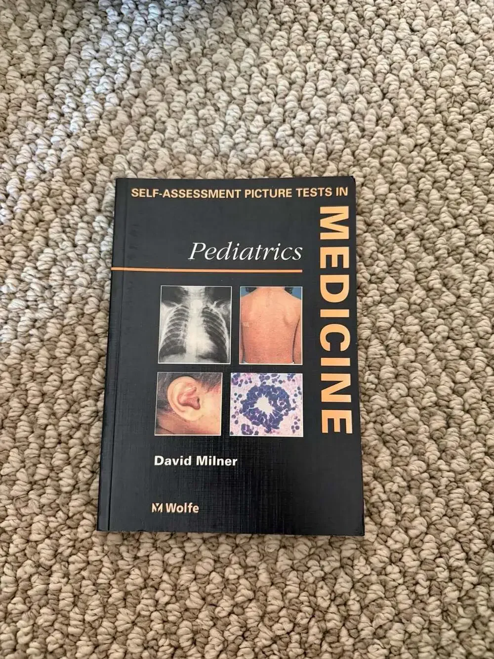 Self-Assessment Picture Tests in Pediatrics by David Milner